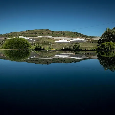 Quinta Do Vallado - Douro Wine Maison d'hôtes
