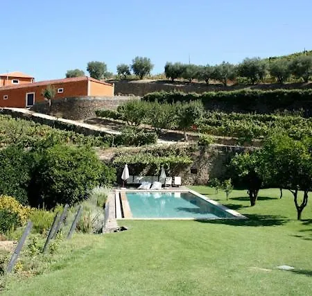 Quinta Do Vallado - Douro Wine