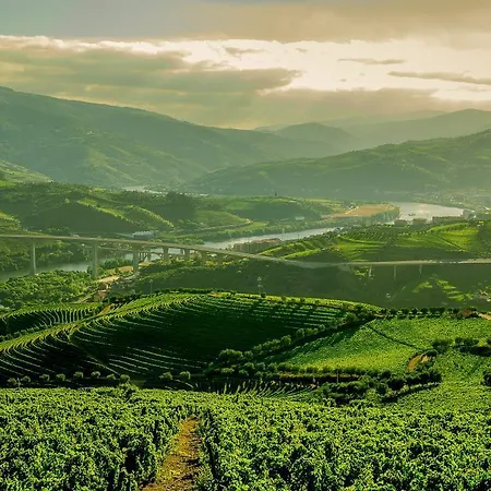Quinta Do Vallado - Douro Wine 4* Peso da Regua