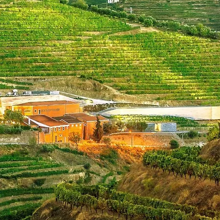 Quinta Do Vallado - Douro Wine