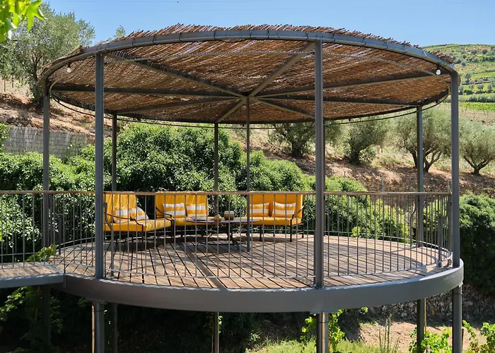 Maison d'hôtes Quinta Do Vallado - Douro Wine Peso da Régua