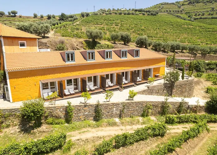 Quinta Do Vallado - Douro Wine בית הארחה פסו דה רגואה