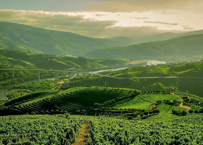 Quinta Do Vallado - Douro Wine 4* פסו דה רגואה