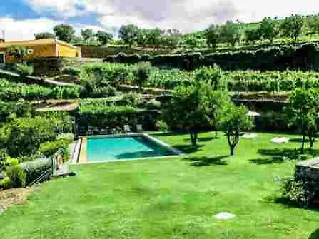 Quinta Do Vallado - Douro Wine Casa de hóspedes Peso da Régua